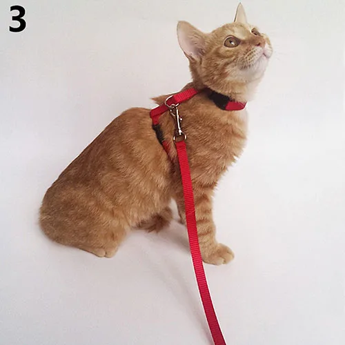 Регулируемый нейлоновый Cat щенок Pet Harness Воротник Ведущий Поводок тяги Детская