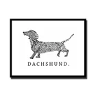 Абстрактное животное, Картина на холсте, Такса, собака букв, Современное украшение для дома для гостиной, Настенная картина без рамы LZ435