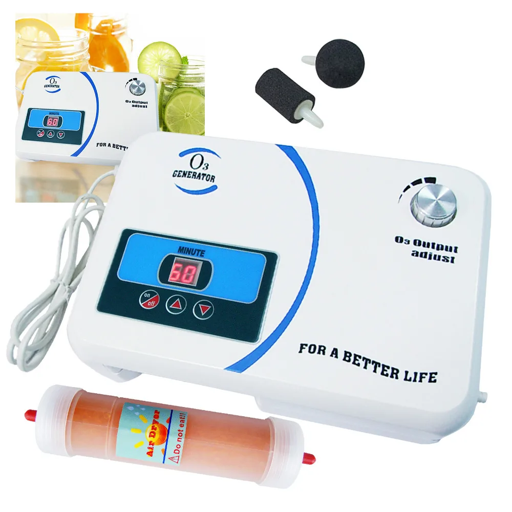 Air Dryer Air Pump Spa - 110v