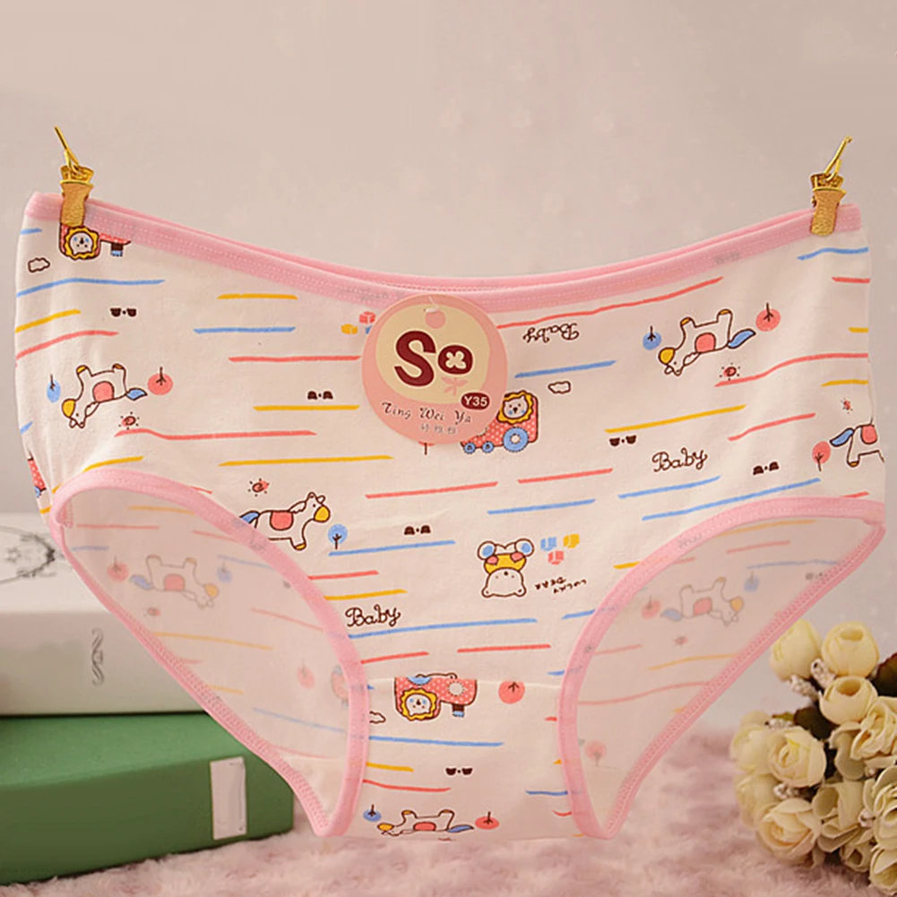 Women's Girls' Cute Cartoon Heart Bear Flower Briefs Mid Rise Panties Underwear |