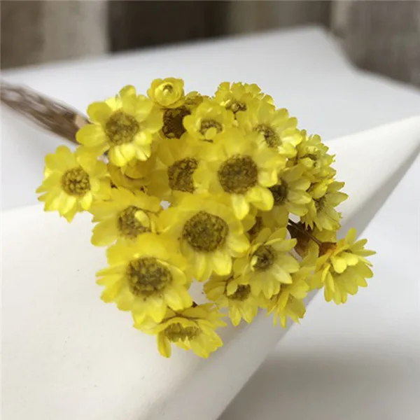 yellow 30 шт. Decoraitve сушеный цветок мини ромашка звезда букет натуральные растения маленький цветочный для свадьбы DIY украшение дома - Цвет: yellow