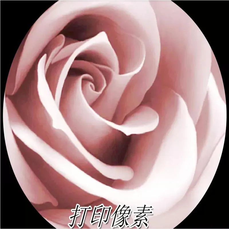Фотообои Dream Rose для спальни дивана телевизора на заказ высококачественные