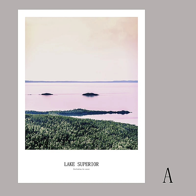 SD LINLEEHON ананас настенная живопись холст скандинавские плакаты и принты настенные