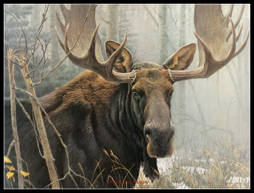 

Embroidery Counted Cross Stitch Kits Needlework - Crafts 14 ct DMC color DIY Arts Handmade Decor - Bull Moose