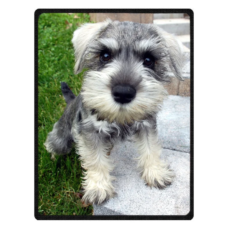 Теплое Флисовое одеяло Schnauzer супер мягкая фланелевая Манта для