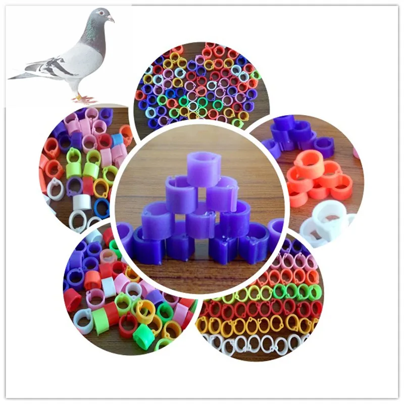 

8mm Identification Pigeons Band,Parrot Bird Opening Foot Rings Bird Supplies