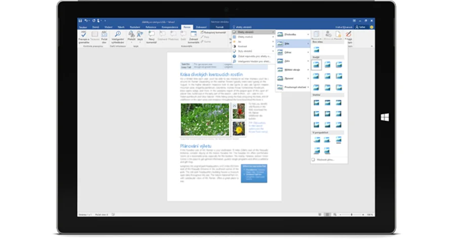 Microsoft Office Professional Plus для Windows PC Розничная торговля в штучной упаковке ключ карта внутри с DVD