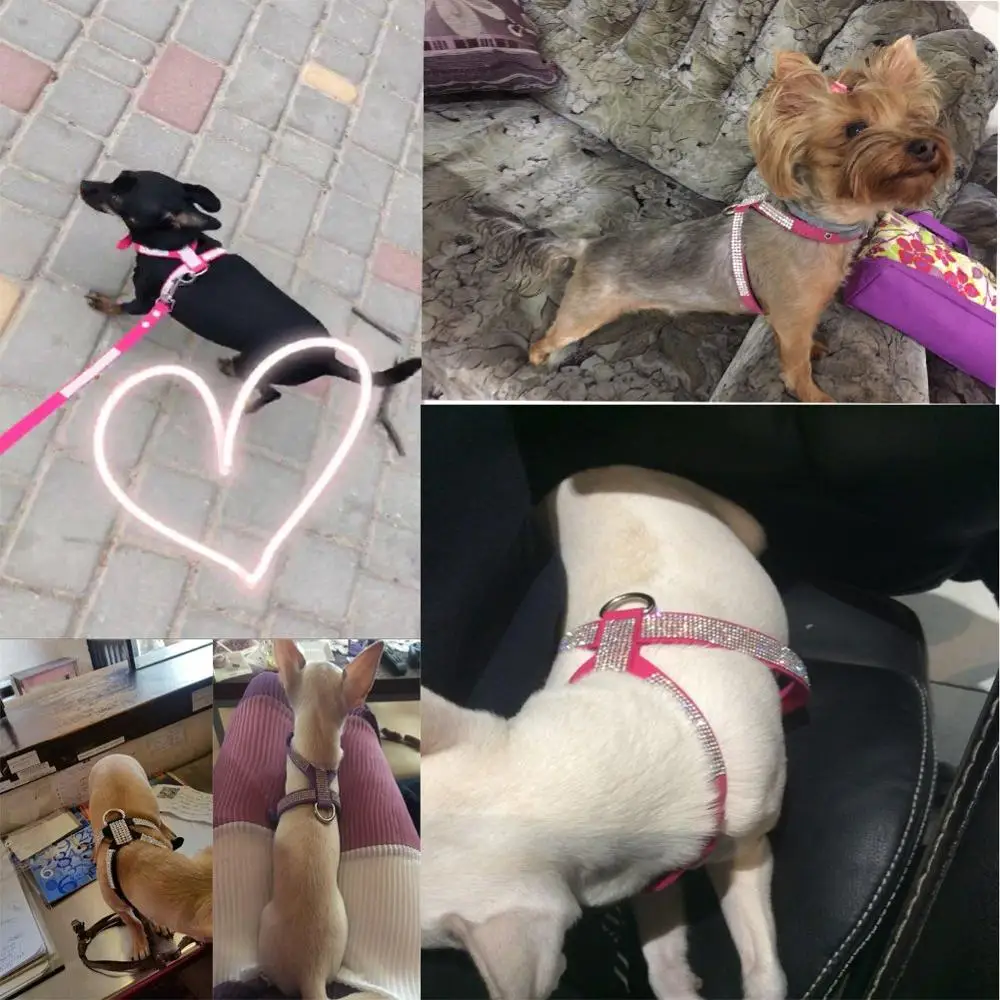 

Rhinestone Dog Harness & Leash Set Soft Suede Fabric Shining Diamonds Pet Collar Harnesses for Small Medium Dogs