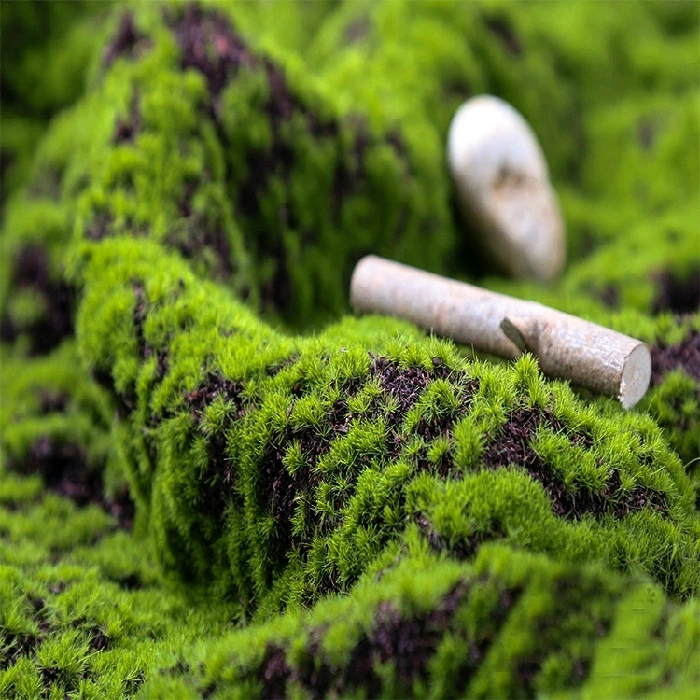 

Simulation Plants 1M*1M Artificial Moss Turf Plant Wall Decoration Micro Grass Landscape Flower Decorative