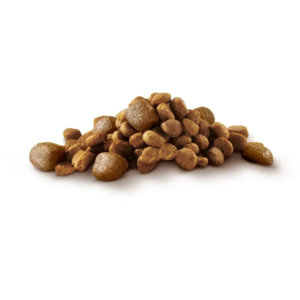 Сухой корм для собак мелких пород Purina ONE МИНИ Активная с курицей и рисом Пакет 600