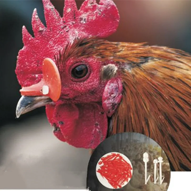 

Large Size plastic chicken eye covers stop chicken fight Red Color glasses