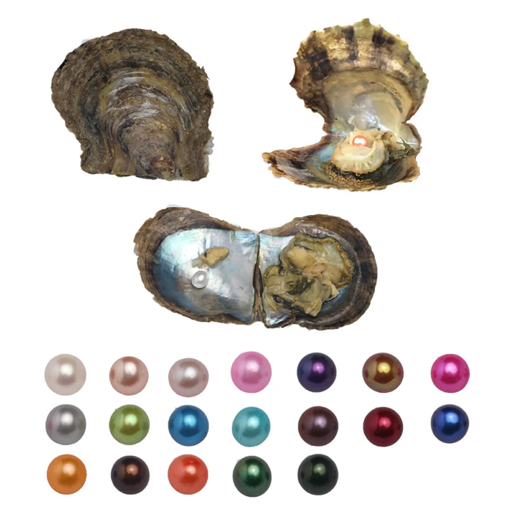 Akoya Pearl Oyster 10 шт. Искусственный Жемчужный с круглыми жемчужинами 7 8 мм подарки на