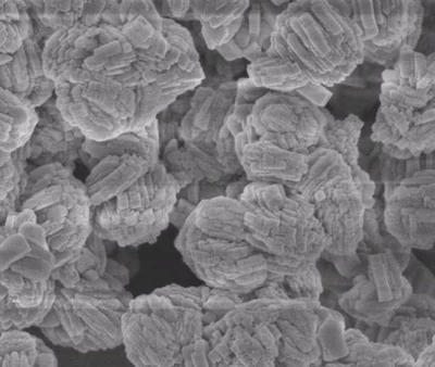 

ZSM-5 Zeolite/ powdery 500g