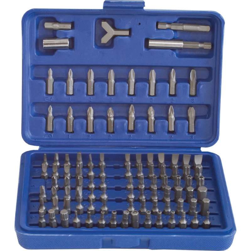 Набор насадок сменных (бит) универсальный 100 предметов Калибр НСУ-100 | Инструменты