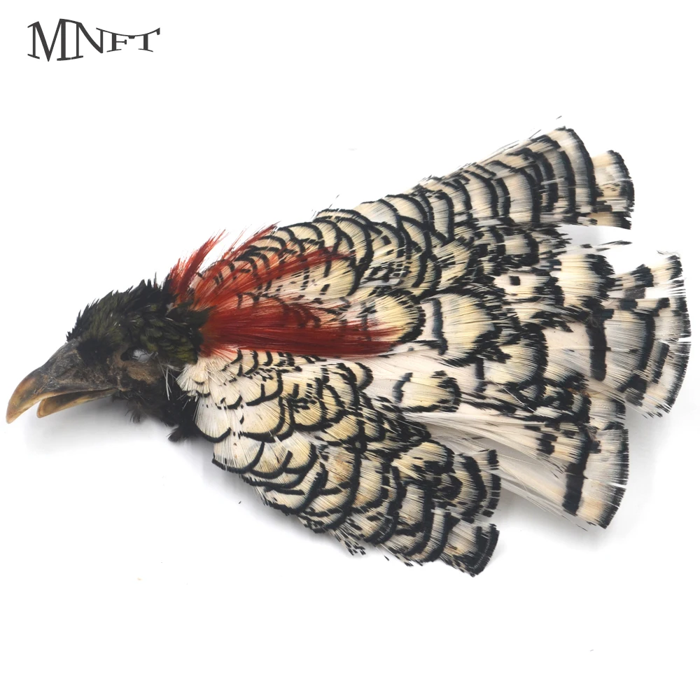 

MNFT Lady Amherst Head Pheasant Salmon Fly Tying Feathers Color White&Black
