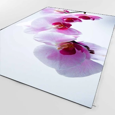 

Else White Floor on Pink Orchid Flowers Floral 3d Print Non Slip Microfiber Living Room Decorative Modern Washable Area Rug Mat