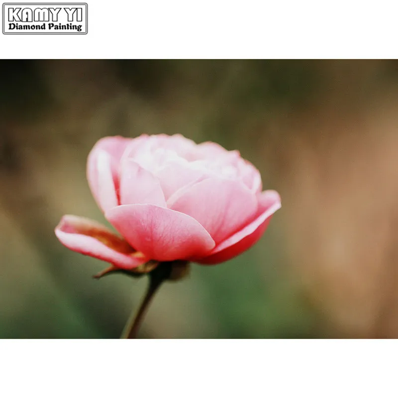 DIY 3D Diamond mosaic Full Round painting Cross stitch Pink flower Square embroidery rhinestones | Дом и сад