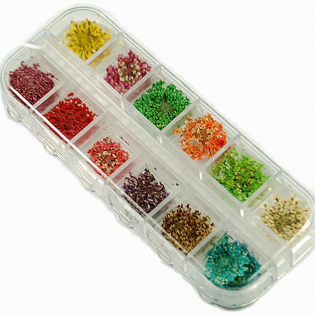 60 Pcs Real Dried Flower Nail Art Tips Sweet DIY Decoration Stickers 3D Designs Polish Manicure Accessories | Красота и здоровье