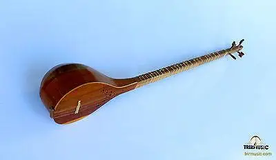 Персидский SETAR, CITAR, SEHTAR, SITAR с мягкой крышкой SS-101