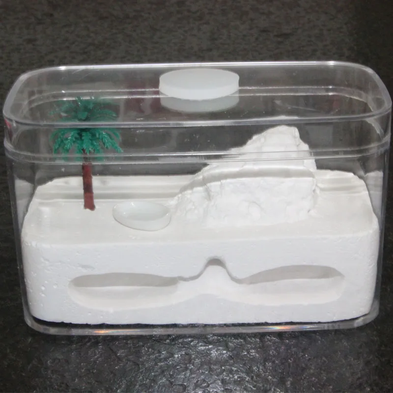 Штукатурка DIY муравьиная ферма с большими пространствами мастерская Кормление