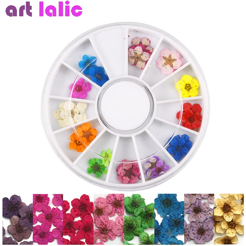 

12 Colors Dried Flower for Nail Art Decorations Natural Real Flowers Dry Stick UV Gel Acrylic Tips Wheel