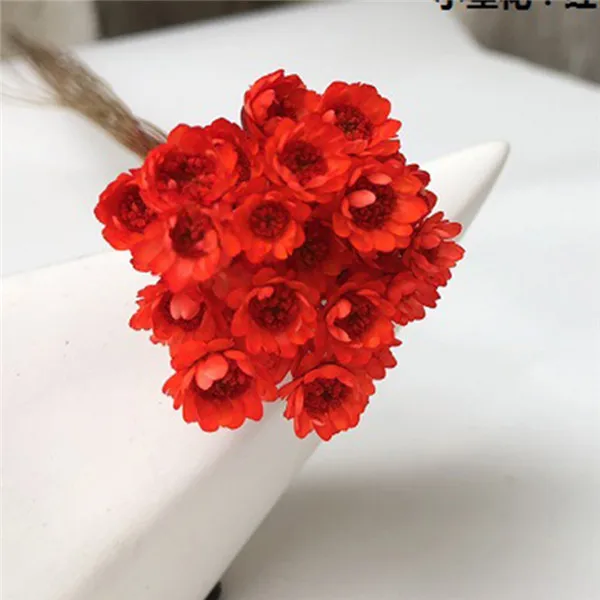 red 30 шт. Decoraitve сушеный цветок мини ромашка звезда букет натуральные растения маленький цветочный для свадьбы DIY украшение дома - Цвет: red