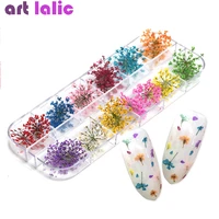 24pcs 12 patterns 3d dry flowers stickers real dried flower nail art decoration tips diy manicure tools with box