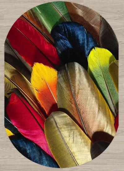 Еще коричневого красного зеленого и синего цвета птицы перо 3d принтом