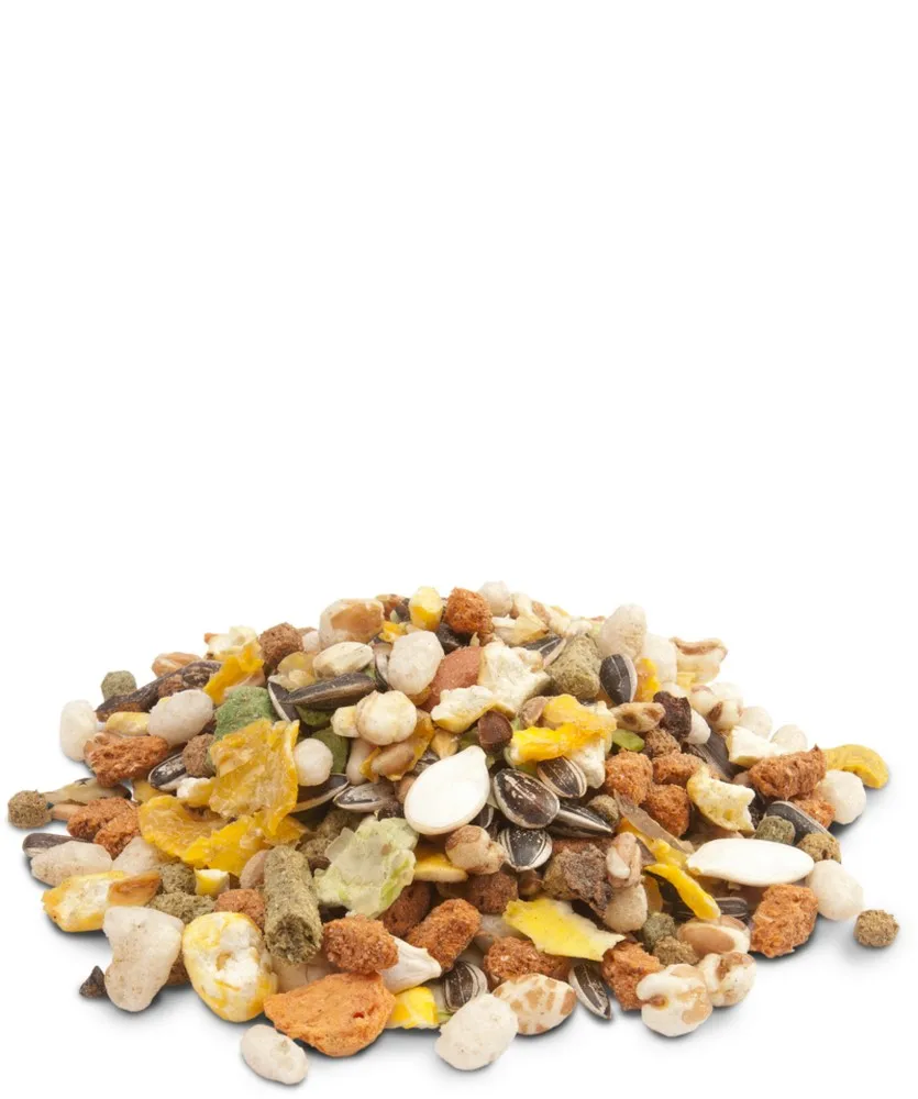 VERSELE LAGA корм для хомяков и других грызунов Crispy Muesli хомяки & Co 1 кг|Принадлежности