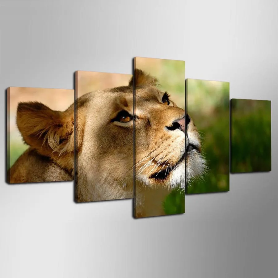 5 панелей напечатанные на холсте высокое качество животные Лев искусство стену