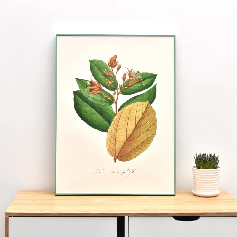 Алюминиевая рамка с принтом зеленый цвет современный тип для украшения дома