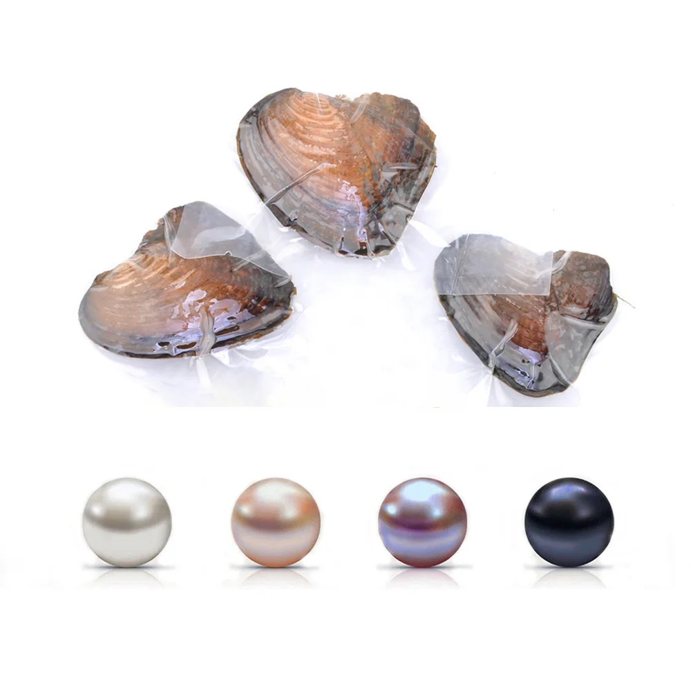 Oyster Pearl с пресноводной жемчужиной искусственным жемчугом Love Wish 7 8 мм круглыми