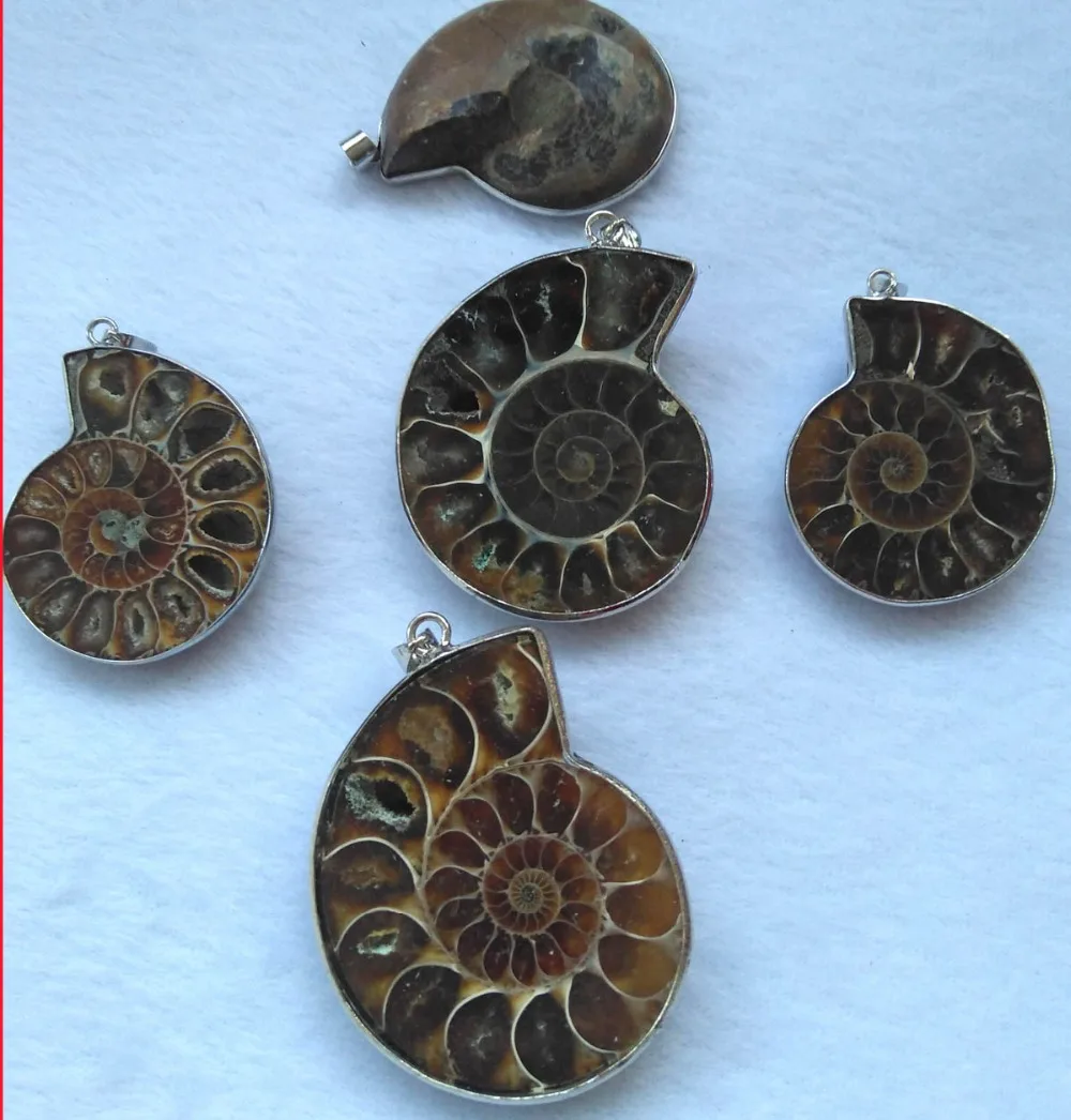 

Wholesale 2PCS Ammonite Fossil Pendants with Silver Bails, Ammonite Pendant, Ammonite 1.8"(40mm)