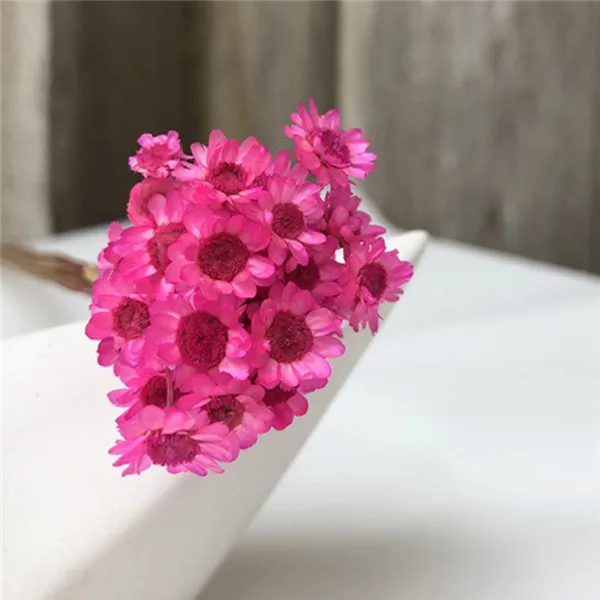 pink 30 шт. Decoraitve сушеный цветок мини ромашка звезда букет натуральные растения маленький цветочный для свадьбы DIY украшение дома - Цвет: pink