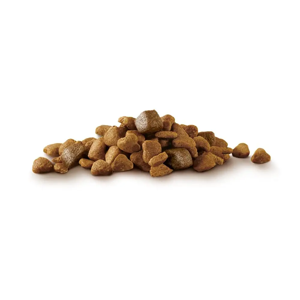 Сухой корм для собак мелких пород Purina ONE МИНИ Здоровый вес с индейкой и рисом