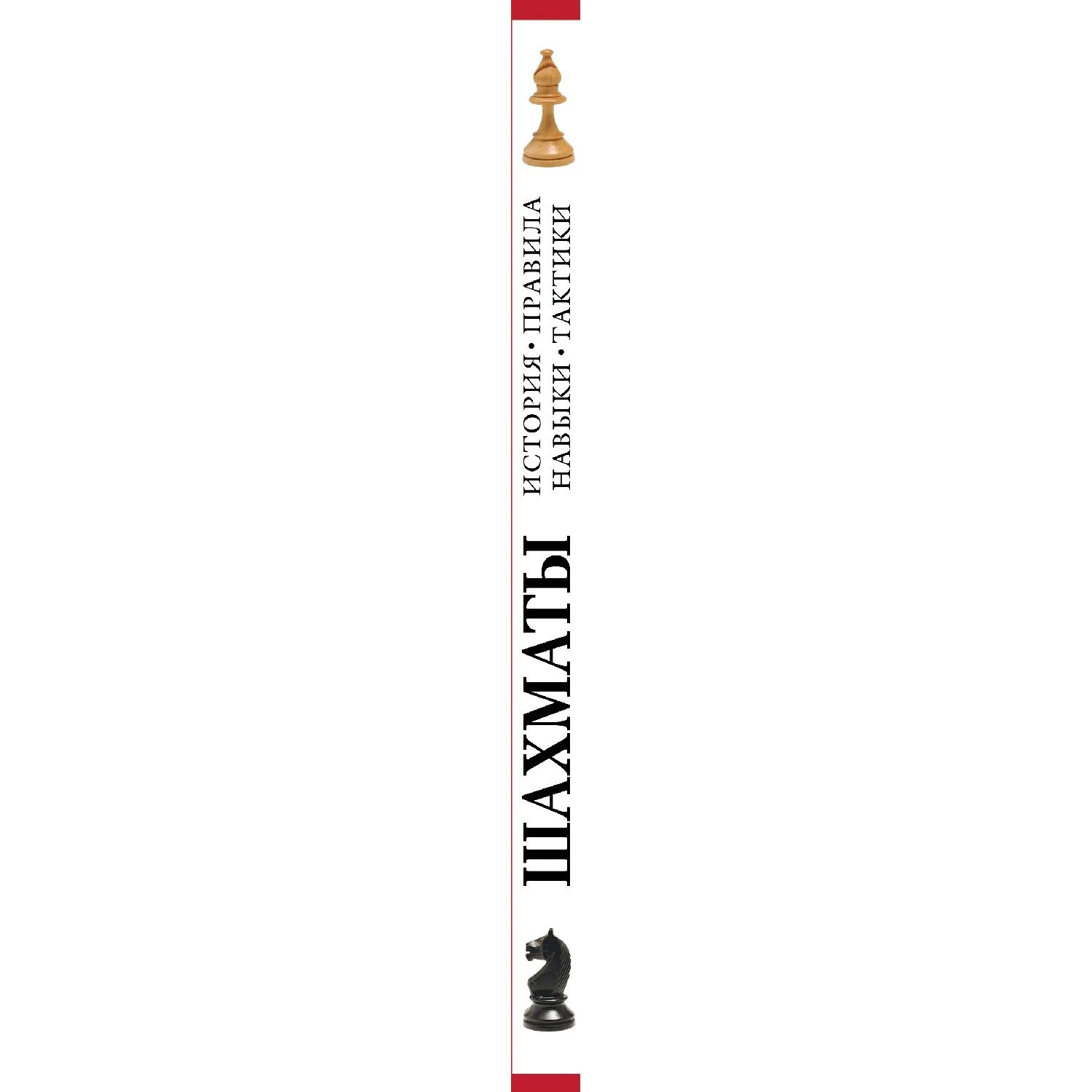 Шахматы: история правила навыки и тактики (978 5 699 75950 7 256 стр. 12+)|Спорт отдых| |