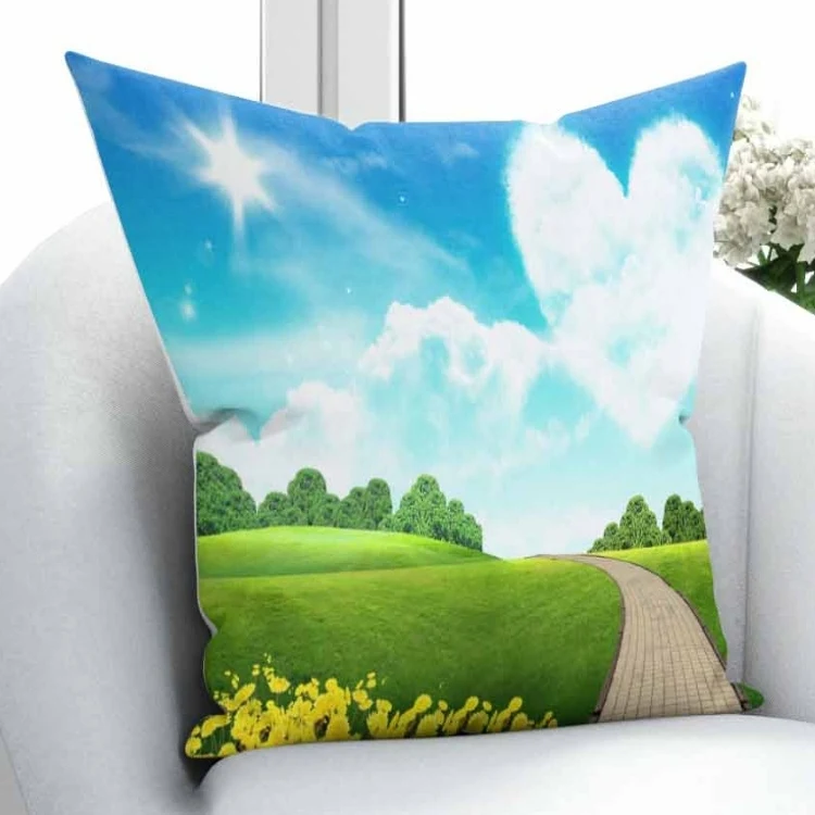 

Else Green Grass Floral Blue Sky White Heart Cloud 3D Pattern Print Throw Pillow Case Cushion Cover Square Hidden Zipper 45x45cm