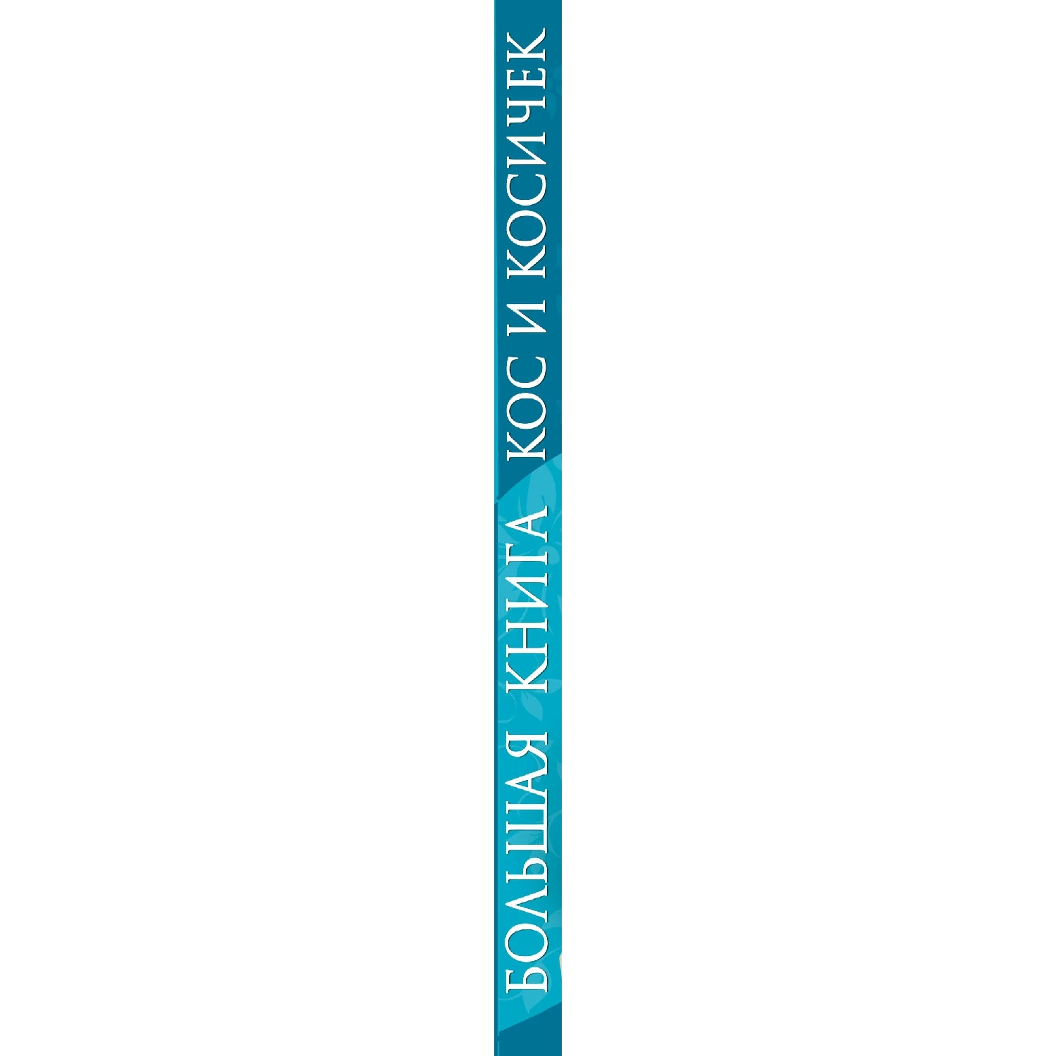 Большая книга кос и косичек (978 5 699 71461 2 320 стр. 12+)|Мода| |
