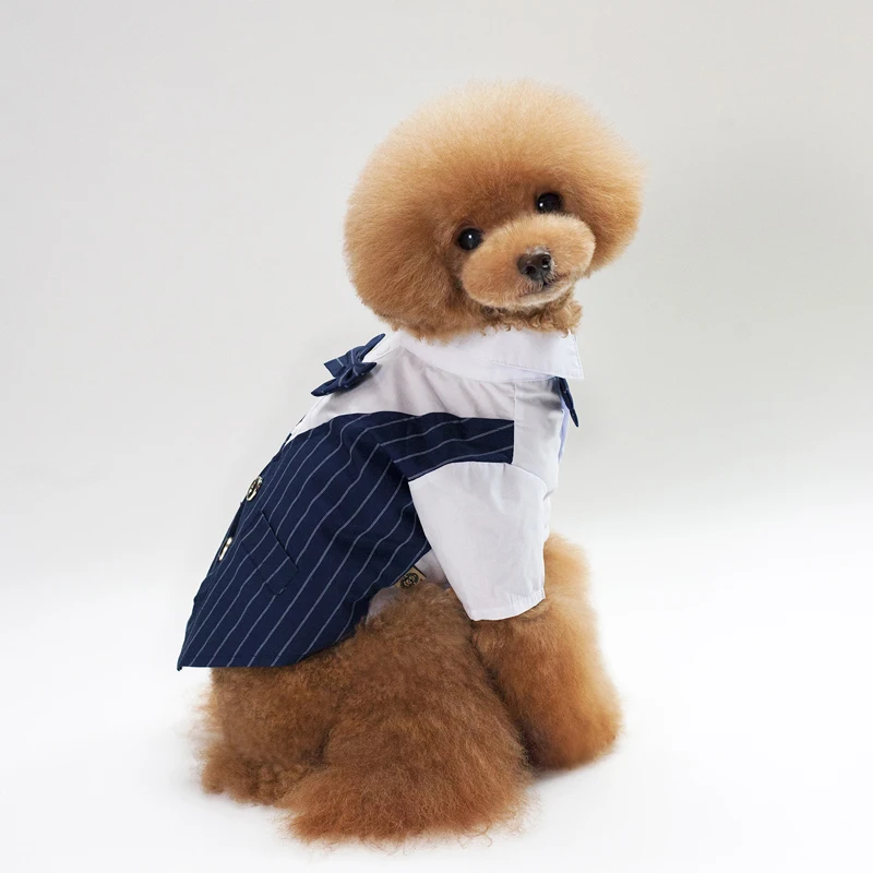 MYBRO Демисезонный собака одежда ласточкин хвост дизайн 2 слоя Look Dog Костюм пальто
