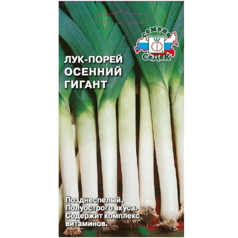 Осенний гигант Лук порей 1гр СЕДЕК Autumn giant bow leek |