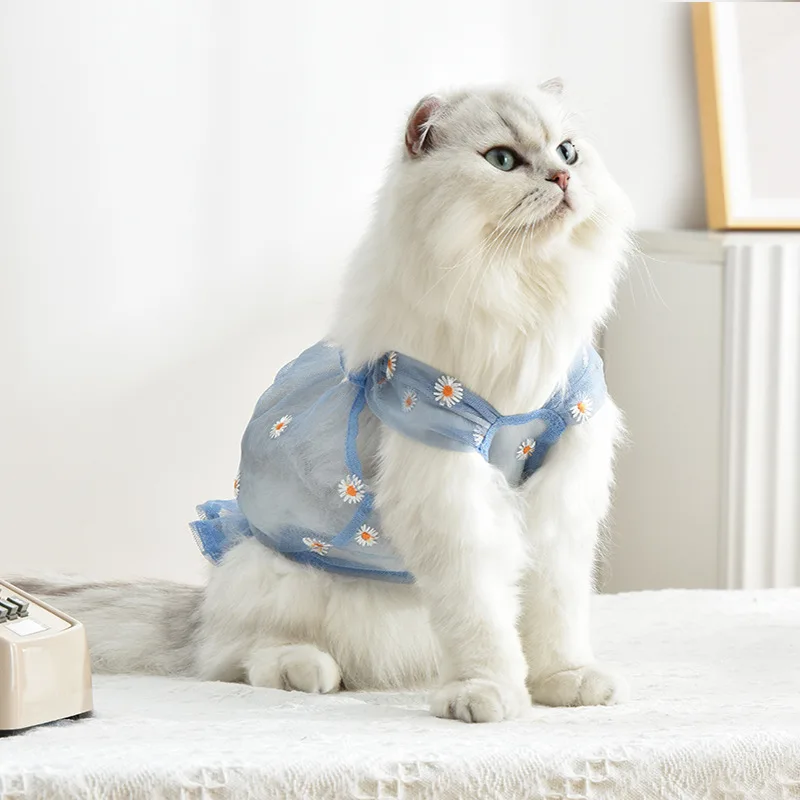 

Одежда для домашних животных