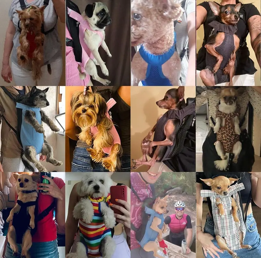 

Pet Carrier Bag Pet Chest Bag Dog Backpack Easy To Go Out Four-Legged Bag Pet Supplies Breathable Outdoor Travel Pet Bag