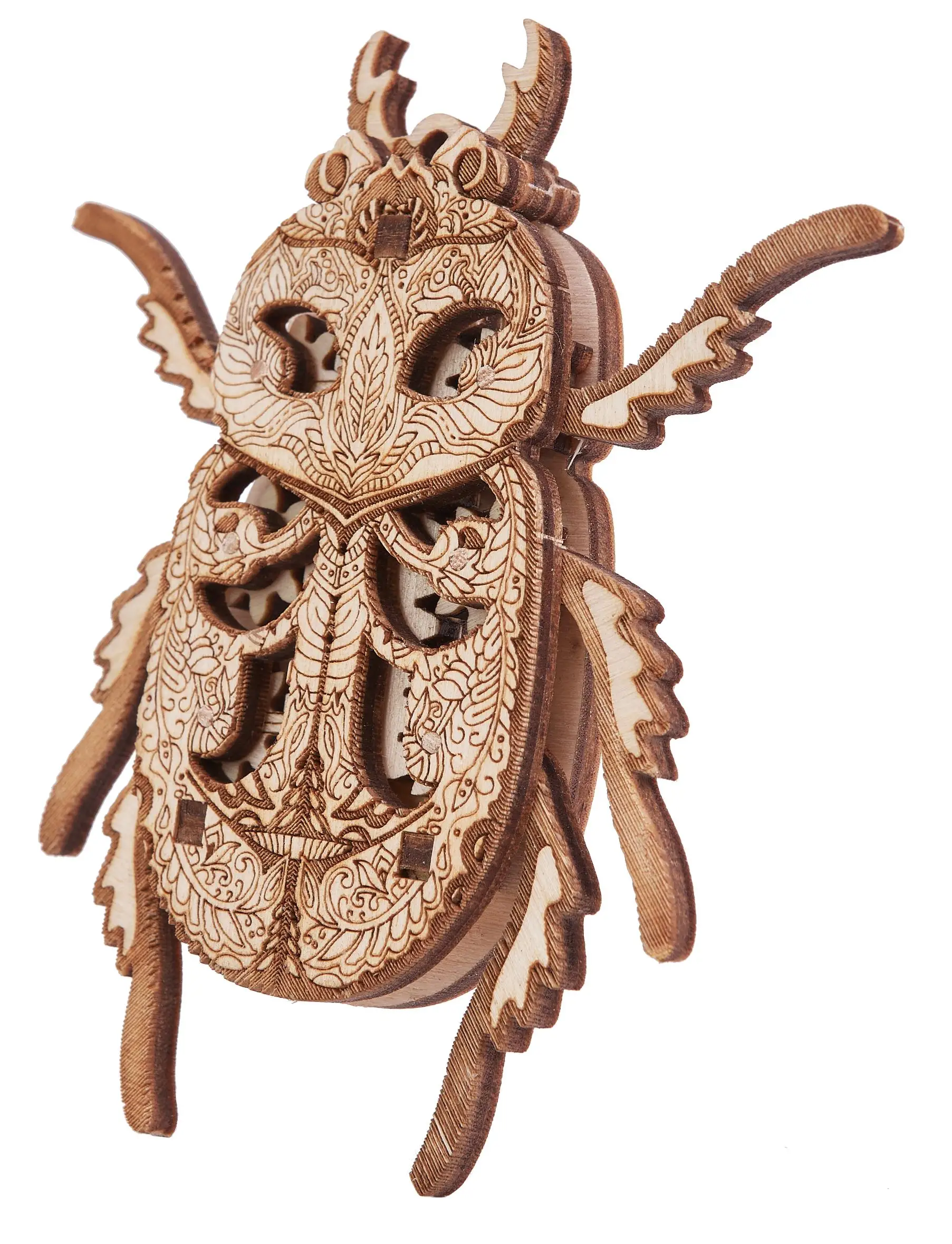 клоп наземник gastrodes grossipes. древесный жук. майский жук в спичечном коробке. жук скарабей талисман из дерева. жук-резчик.