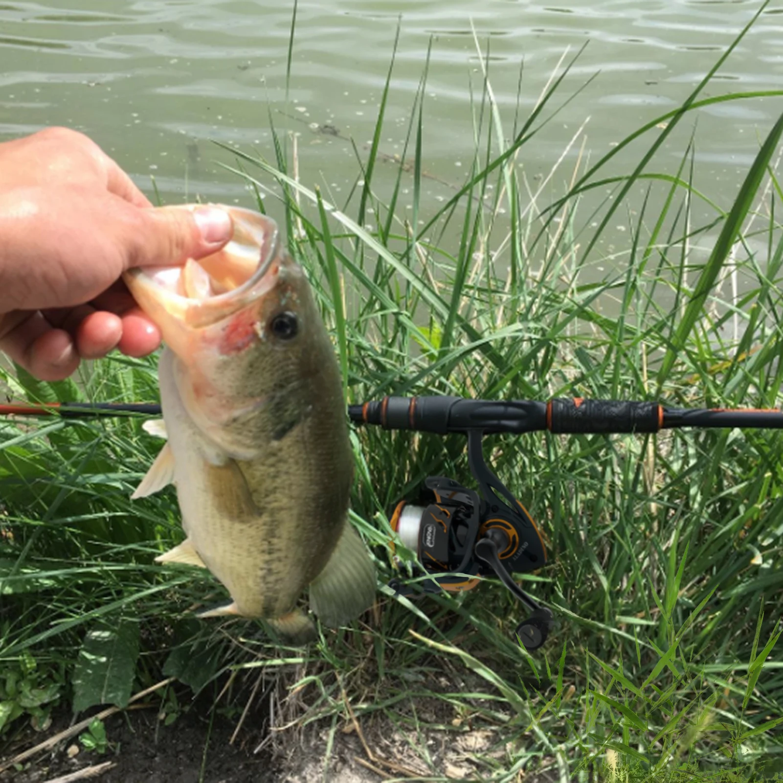 

WataChamp Aladino Fishing Spinning Reel Ultra Smooth Powerful For Freshwater Saltwater- 6.2:1 High Speed Gear Ratio