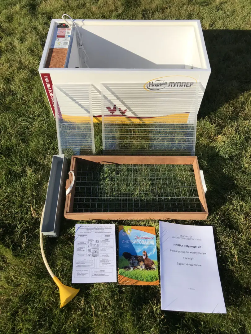 Купить Инкубатор Луппер В Омске