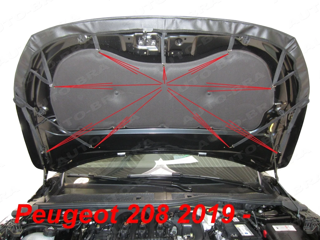 Для Peugeot 208 (UB/UJ/UP/UW) 2019-2021 гг. передний капот модификация газовых стоек газовые