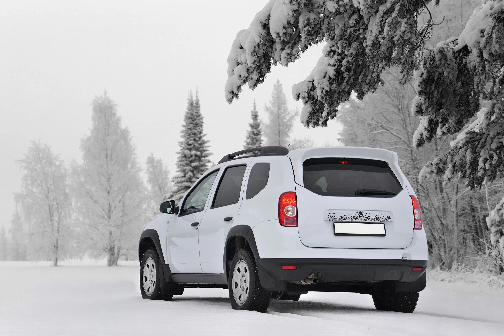 Спойлер На Дастер Чистое Стекло Купить