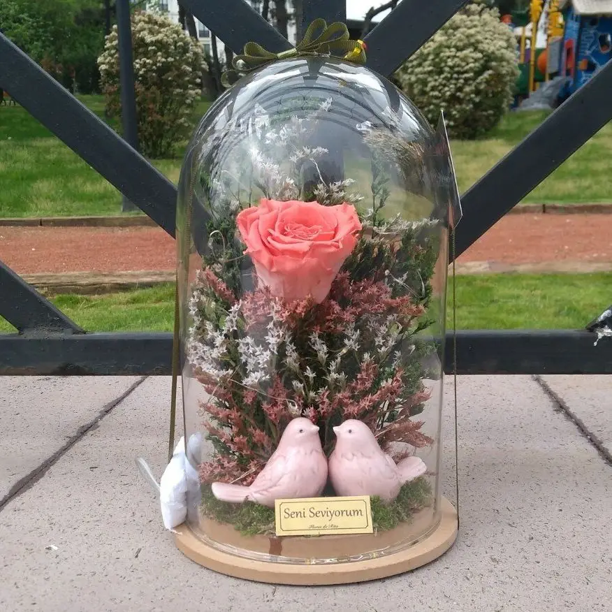 

Неувядающая роза 3 года, оригинальный подарок ручной работы на День святого Валентина и Рождество, 6 цветов на выбор, яркая Роза