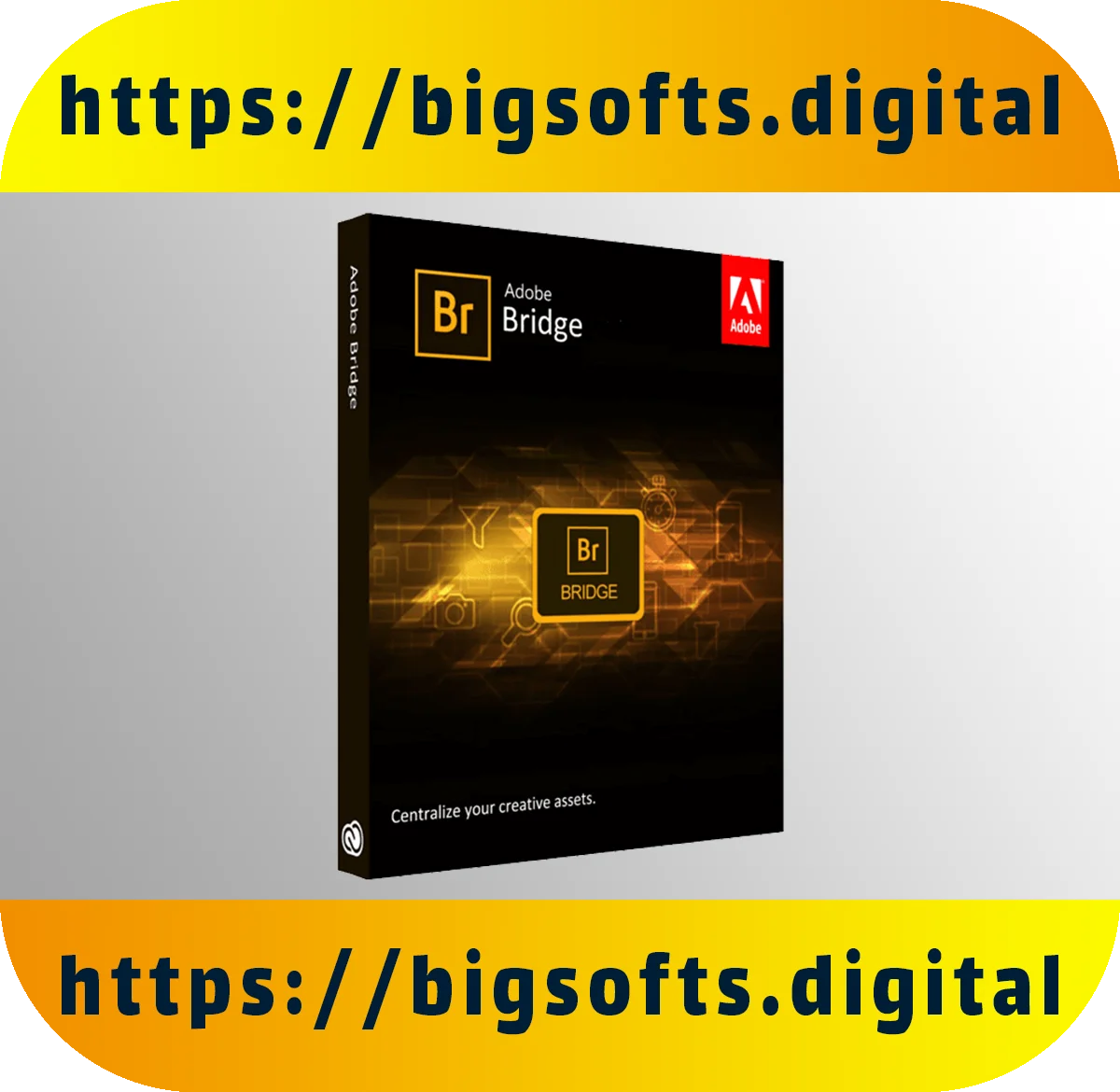 

{Adobe Bridge CC 2022}