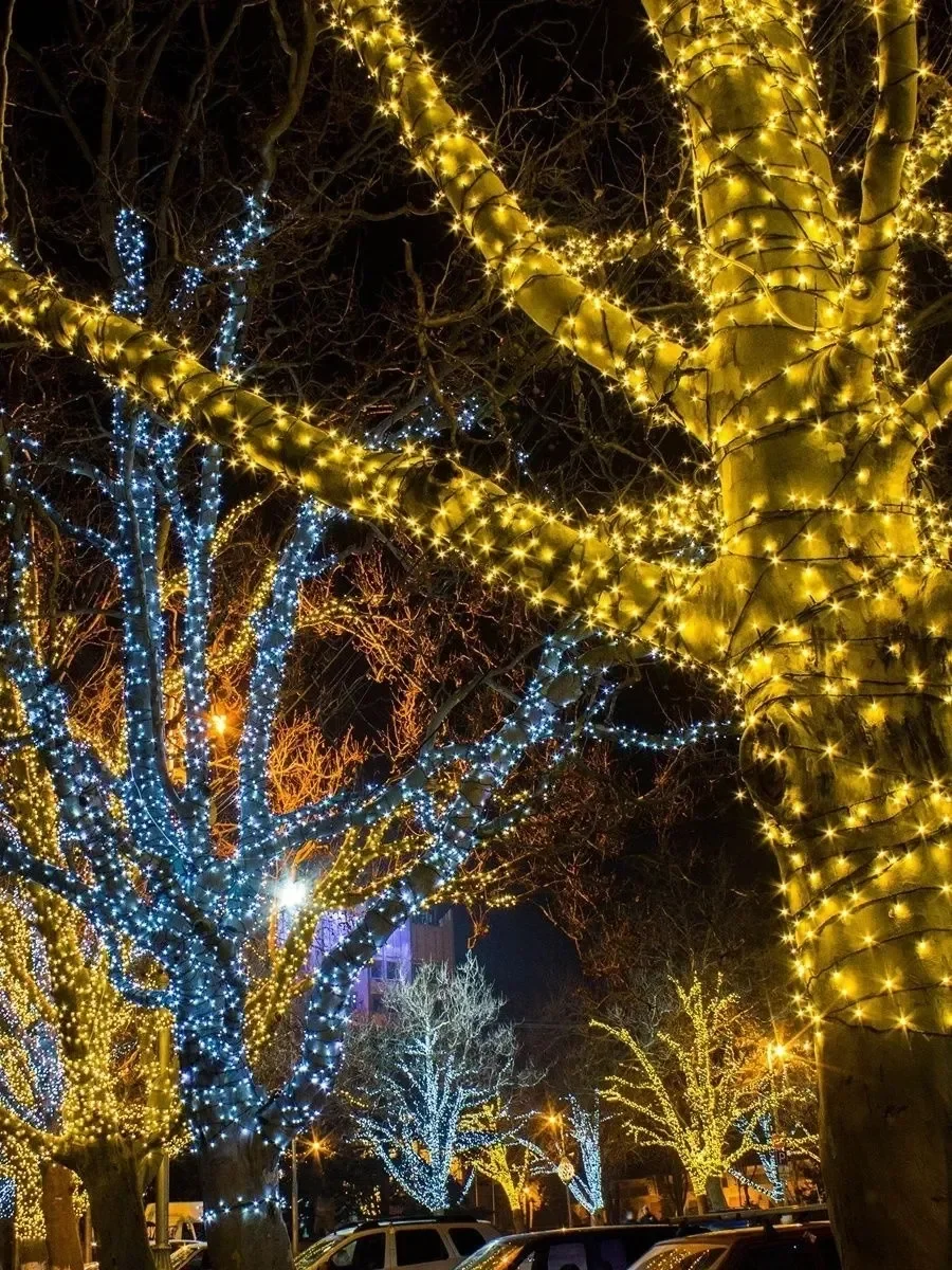 Гирлянда светодиодная для уличного декора новогодняя уличная гирлянда в катушке